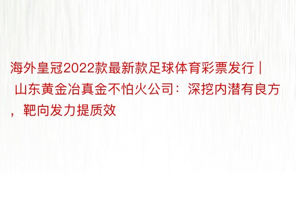 海外皇冠2022款最新款足球体育彩票发行 | 山东黄金冶真金不怕火公司：深挖内潜有良方，靶向发力提质效